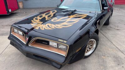 1981 Pontiac Firebird Trans Am Special Edition Y84