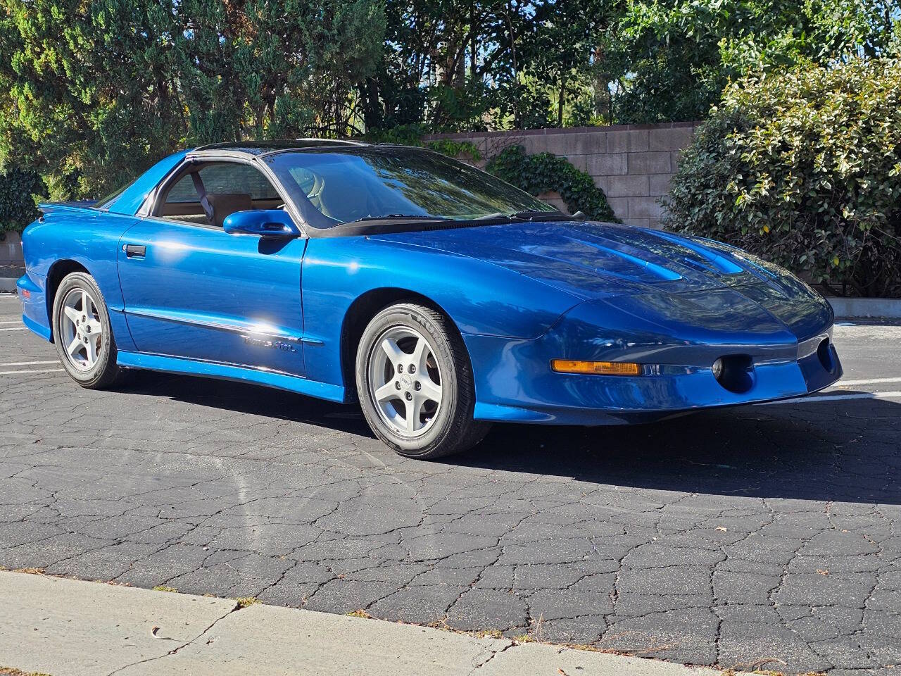 1995 Pontiac Firebird Trans Am